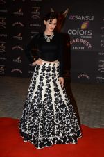 Evelyn Sharma at the red carpet of Stardust awards on 21st Dec 2015